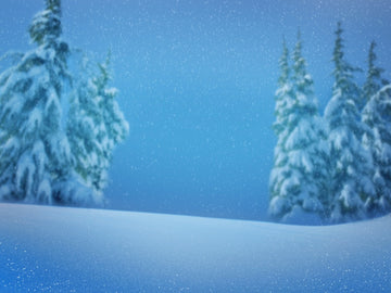 Fairy Tale Grand-fir Forest Snow Forest Backdrops IBD-247002 -800x600